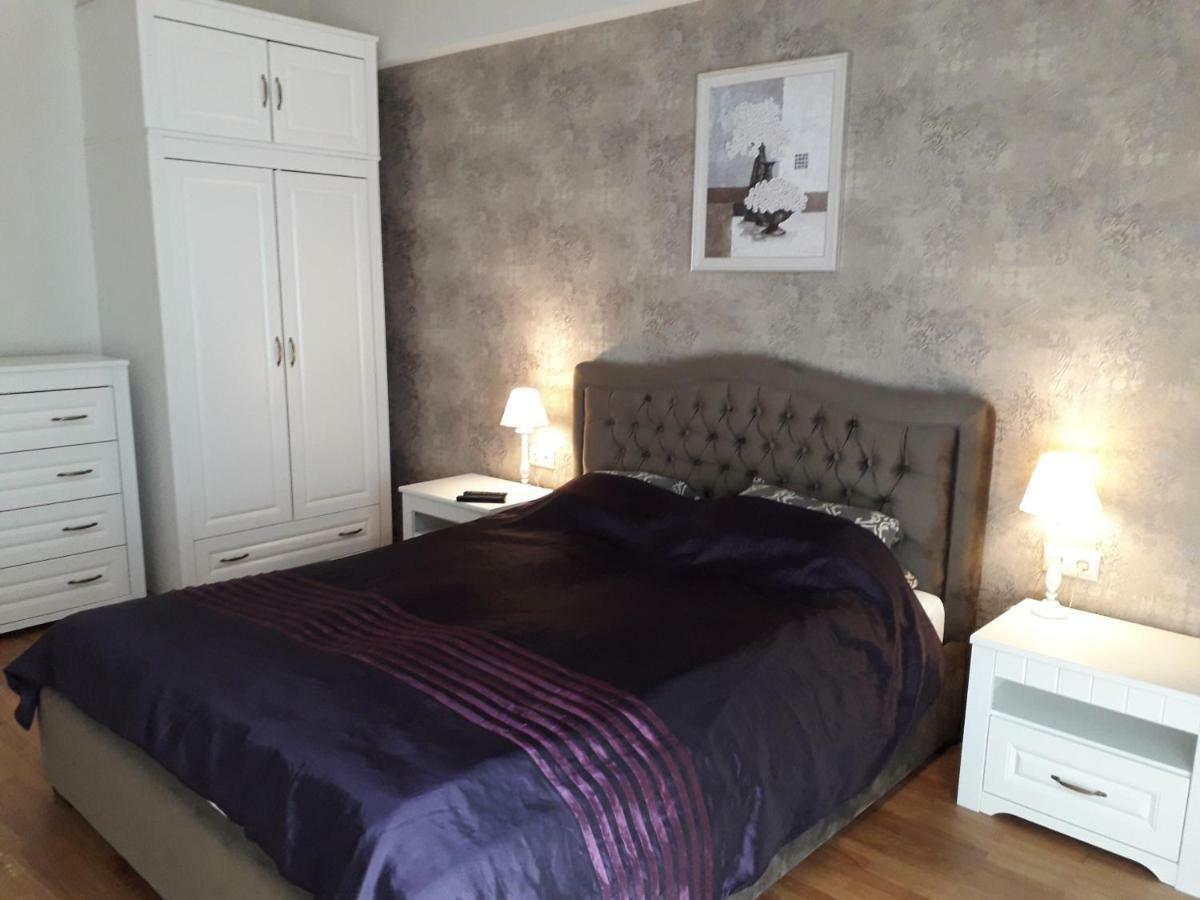 Mickeviciaus Str Apartment Kaunas Dış mekan fotoğraf